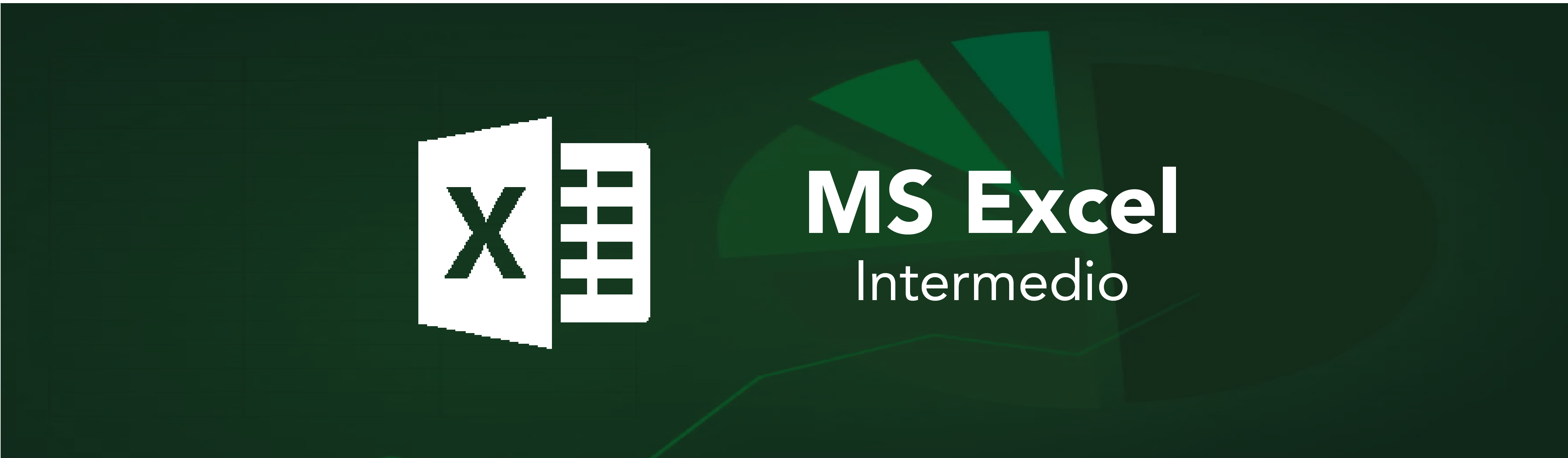 Logo de Excel Intermedio